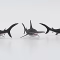 Realistic Black And White Shark 3D Model With Detailed Sharp Teeth And Dorsal Fin
