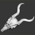 White Horned Skull 3D Model With Detailed Texture On Black Background 3d model