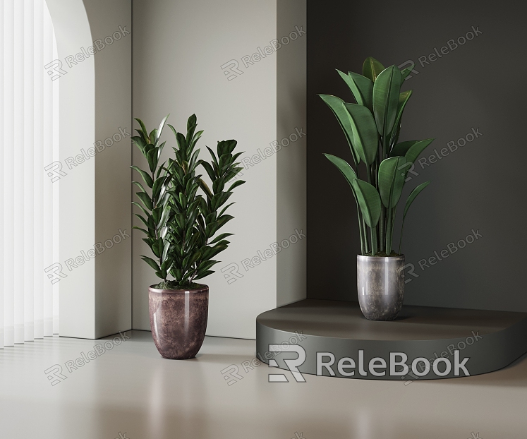 potted plant model