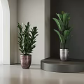Two Bonsai Potted Plants with Purple Silver Pots Green Leaves on Floor and Round Platform