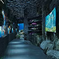 Underwater Oceanarium Tunnel With Colorful Fish Coral Large Aquarium Tanks Rock Decorations And Soft Lighting