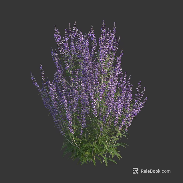 Tall Purple Flowering Plants With Dense Spikes And Green Leaves On Dark Background 3d model 