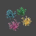 Vibrant Branching Coral Marine Animals With Blue Green Pink Yellow Hues