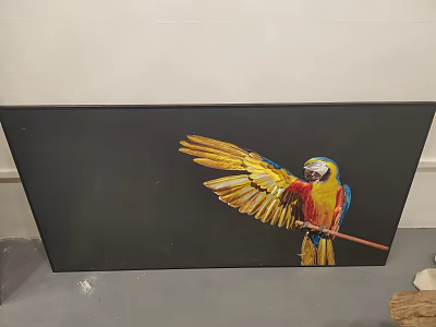 Photo Frame Displaying Colorful Parrot With Yellow Wings Red Blue Body On Black Canvas 3d model