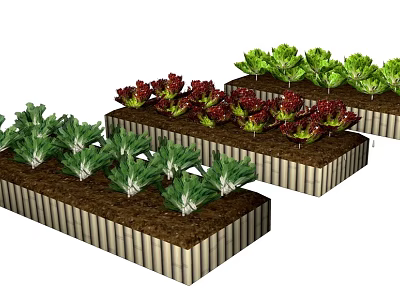 Raised Garden Beds With Green And Red Vegetables In Backyard Garden Setup 3d model