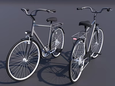 Two Classic Bicycles with Silver Frames Black Seats White Spokes and Rear Racks 3d model
