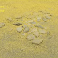 Gray Ground Surface With Scattered Stones And Small Gravel Pieces