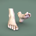 Man's Relaxed Bare Feet Anatomical Structure On Smooth Green Background