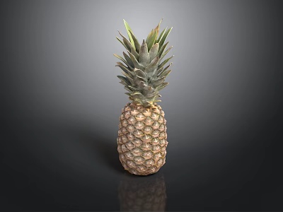 Fresh Ripe Pineapple With Leafy Top And Textured Fruit Body On Dark Background 3d model