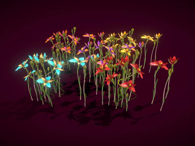 Vibrant Colorful Flowers Displaying Multiple Colors with Slender Stems Against Dark Background 3d model