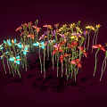 Vibrant Colorful Flowers Displaying Multiple Colors with Slender Stems Against Dark Background