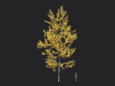 Tall Golden Tree With Lush Golden Leaves And White Trunk Near Human Figure 3d model