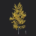 Tall Golden Tree With Lush Golden Leaves And White Trunk Near Human Figure