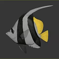 Colorful Black White Striped Tropical Fish With Yellow Tail Fins As Aquatic Animal