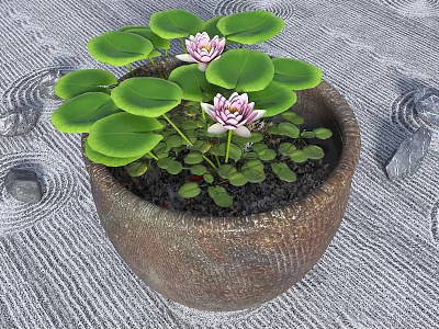 Water Fountain With Terracotta Pot Green Lotus Leaves Pink Flowers Gray Stones And Water Ripple 3d model