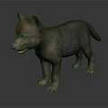 Cute Brown Baby Wolf With Bright Blue Eyes Standing On Gray Surface