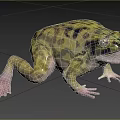 Green Black Spotted Reptile Lizard With Open Mouth And Extended Limbs On Grassland Soil