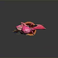 Colorful Mantis Shaped Plant With Pink Leaves Brown Pot Small Flowers And Green Leaves
