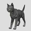 Cat kitten bobtail civet cat Siamese cat orange cat pastoral cat Garfield 3d model