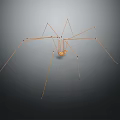 Cellar Spider With Long Thin Legs On Dark Background And Reflection Effect 3d model