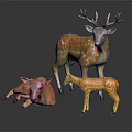 Three Deer Group With Standing Antlered Adult Lying Doe And Small Spotted Fawn Against Black Background