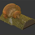 Fresh Orange Mushroom Vegetable Growing On Natural Tree Bark Log 3d model