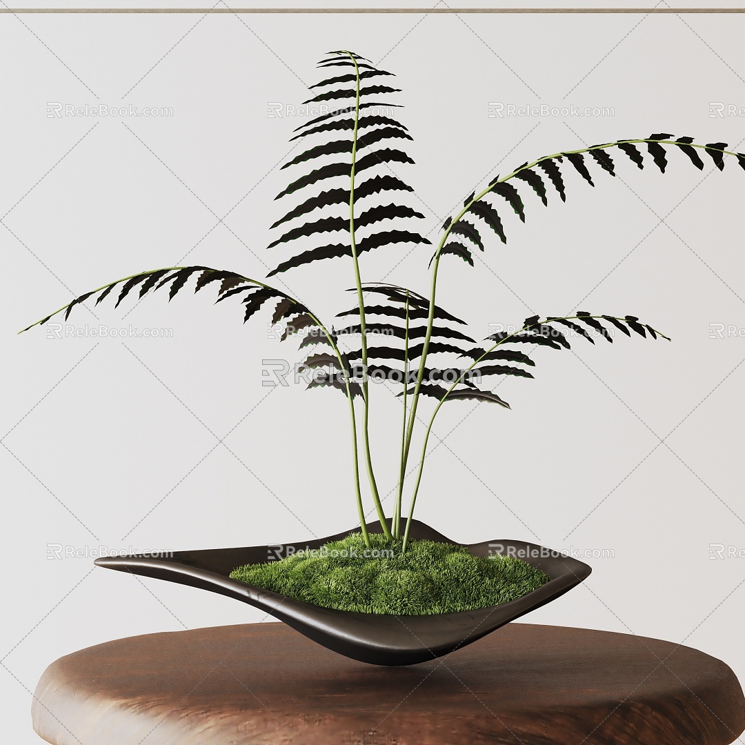 Modern Potted Plant 3d model