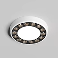 Modern Round Ceiling Light With White Central Panel And Decorative Dark Trim Design 3d model