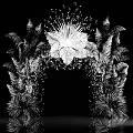 Golden Feather Like Flower Ornamental Decor Set With Small Particle Embellishments On Black Background
