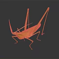 Green Grasshopper with Long Legs and Antennae on Dark Background Detailed View