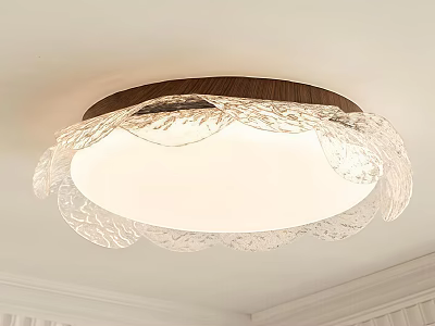 Decorative Modern Ceiling Light With Petal Shaped Transparent Shade And Wooden Frame 3d model