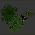 Different Green Plants In Decorative Pots With Small Feet On Reflective Gray Background