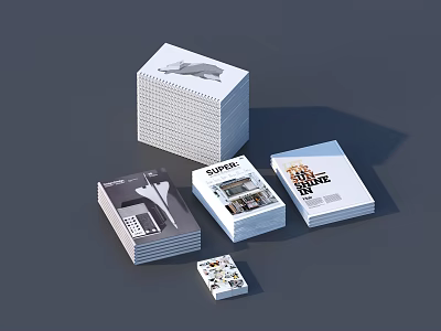 Stacked Books And Magazines With Various Design Covers And Visual Elements 3d model