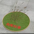 Foxtail Dry Grass Growing On Circular Green Base Over Stone Pavement Ground 3d model