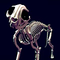 Cartoon Style 3D Skeleton Dog Game Movie Character With Black Eyes