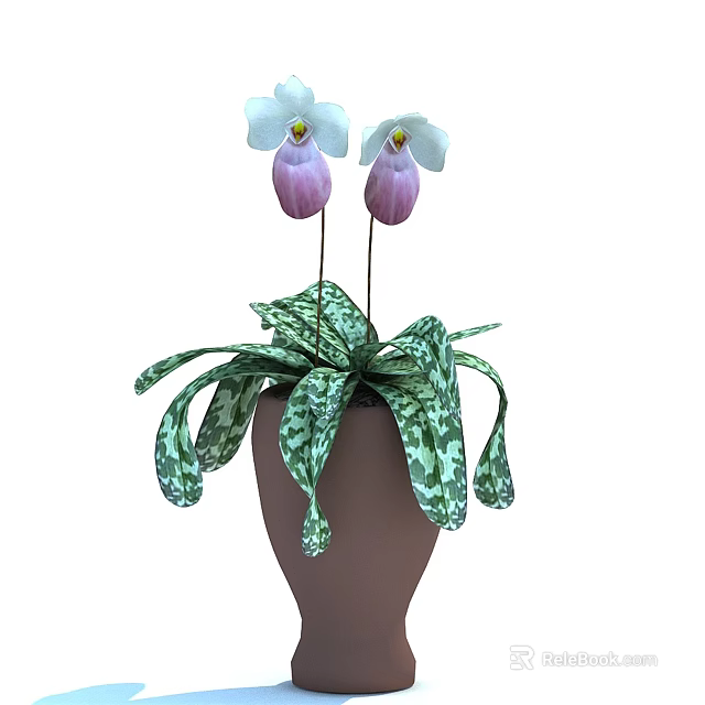 Bonsai Potted Plant With White Purple Flowers And Green Spotted Leaves In Brown Pot 3d model 