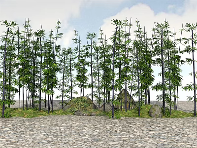Lush Bamboo Grove with Stone Path and Green Grass Under Blue Sky 3d model