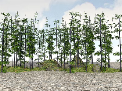 Modern Bamboo Landscape Bamboo Plants 3d model