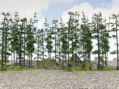 Modern Bamboo Landscape Bamboo Plants 3d model