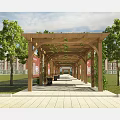 Wooden Pergola With Vines Benches And Information Boards In Outdoor Park