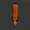 Orange Antelope With Black Horns White Face Standing On Gray Background