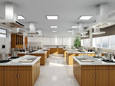 School Culinary Classroom with Multiple Workstations Sinks Stoves Bright Interior Wooden Cabinets and Windows 3d model