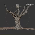 Natural Wooden Root Sculpture With Stone Textured Base And Rustic Ground Design 3d model