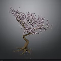 Pink Flowering Tree with Curved Trunk and Exposed Roots Blooming Pink Blossoms on Dark Background