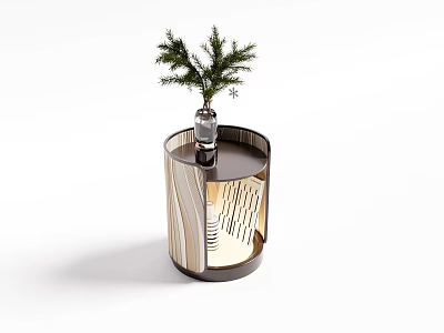 Stylish Entryway Side Cabinet With Striped Wooden Design And Potted Green Plant On Top 3d model