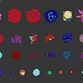 Various Colorful Flowers Arranged in Different Shaped Vases and Containers