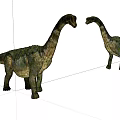 Two Reptile Dinosaur Models With Long Necks Facing Each Other And Detailed Skin