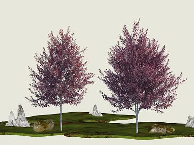 Trees With Purple Red Leaves In Green Grass Setting With White Stones And Low Rocks 3d model