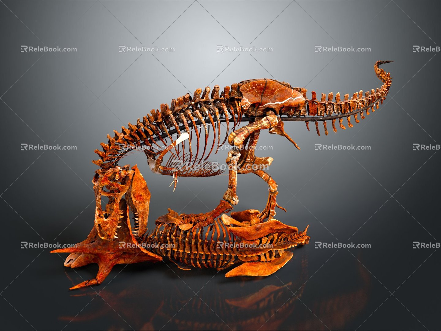 Modern Skeleton Animal Skeleton Skeleton Animal Skeleton 3d model