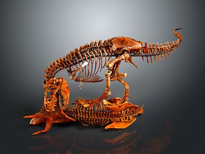 Modern Skeleton Animal Skeleton Animal Skeleton model